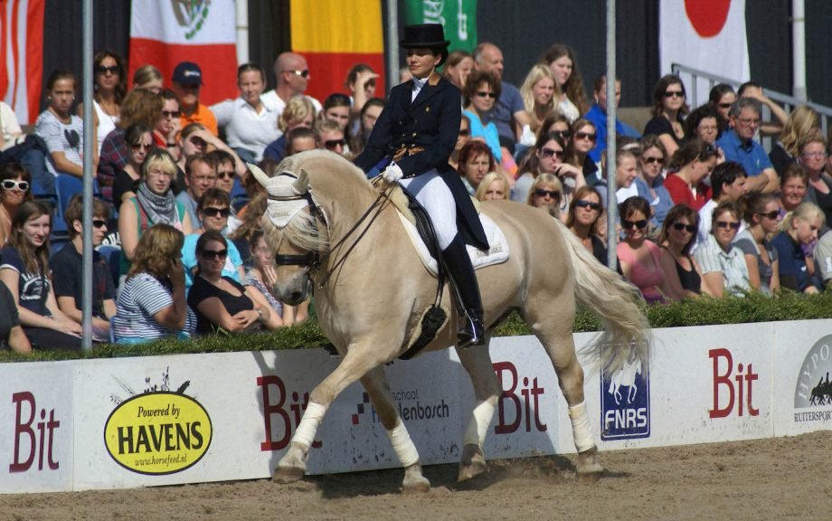 From Farm Horse to Dressage Star – Remembering Super Guus