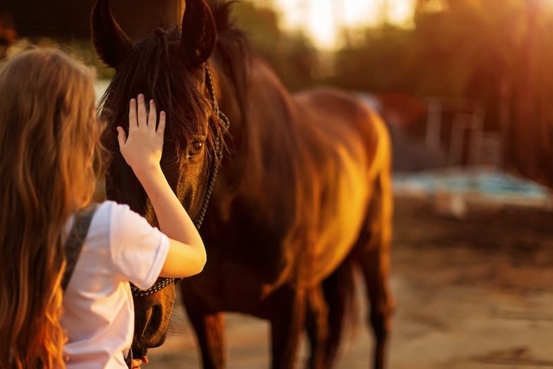 Tips For Horseback Riding On Hot Summer Days